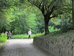 IMG_2457.JPG